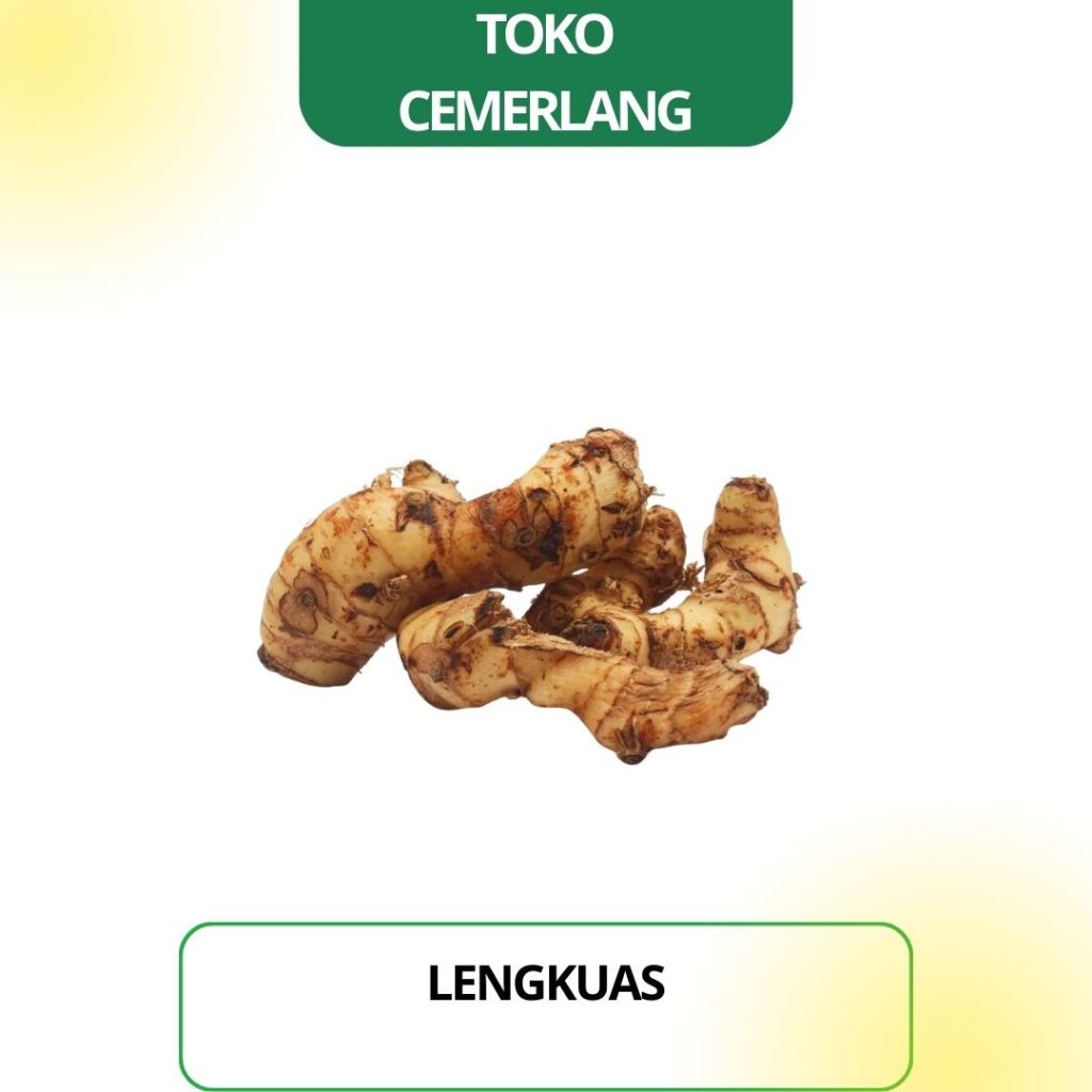 

Lengkuas 100 gr / 250 gr / 500 gr / 1 kg
