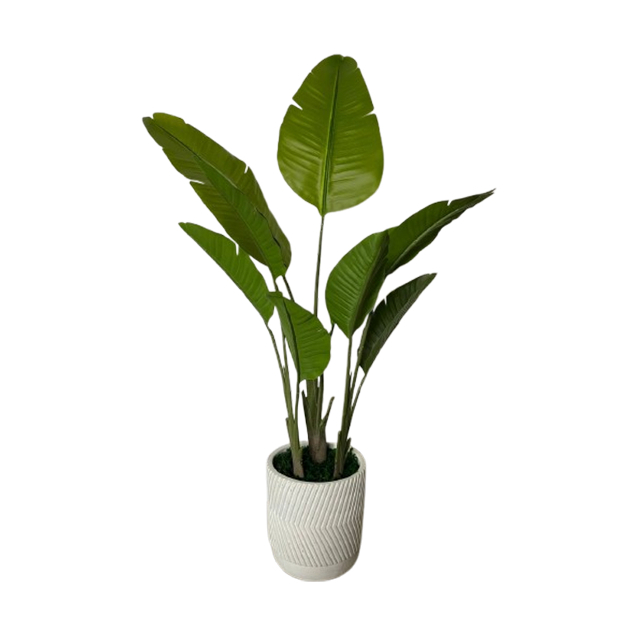 POHON PISANG PALSU/ POHON HIAS/ POHON PALSU/ TANAMAN HIAS/160CM TRAVELLER PALM