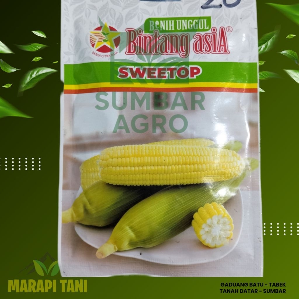 Benih Jagung Manis SWEETOP 25gr // Bibit jagung manis unggul dan murah