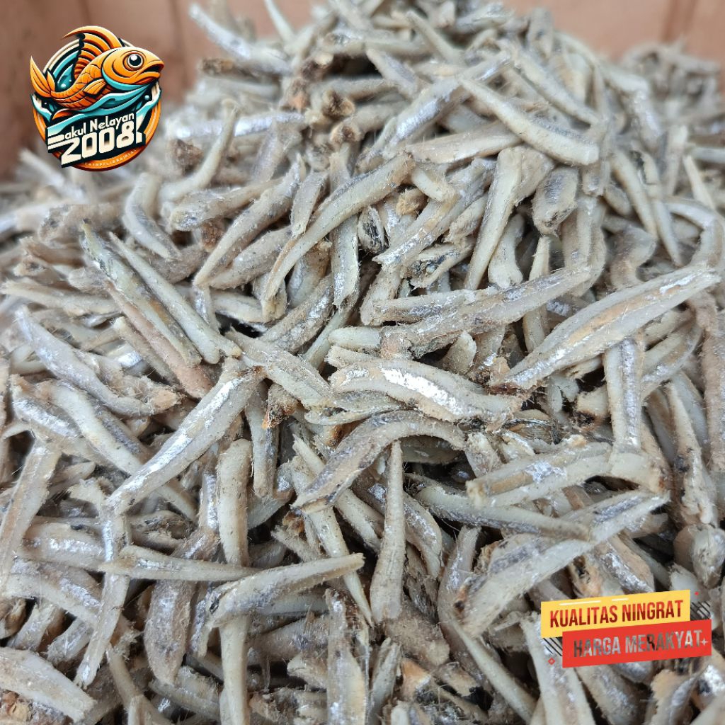 

Teri jengki | Ikan teri jengki | Ikan teri | uk kecil