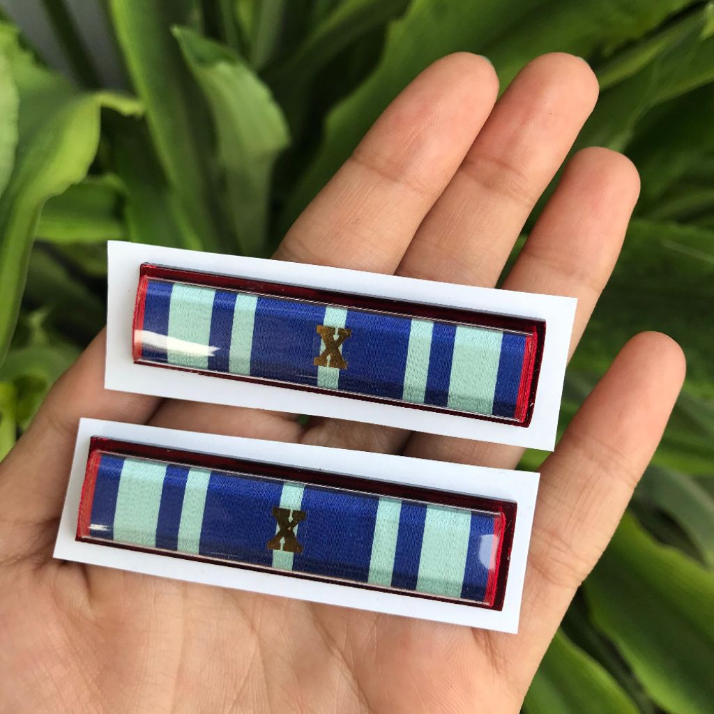 Pita Tanda jasa, tanda kehormatan,Satyalancana Pengabdian 10 Tahun untuk PNS