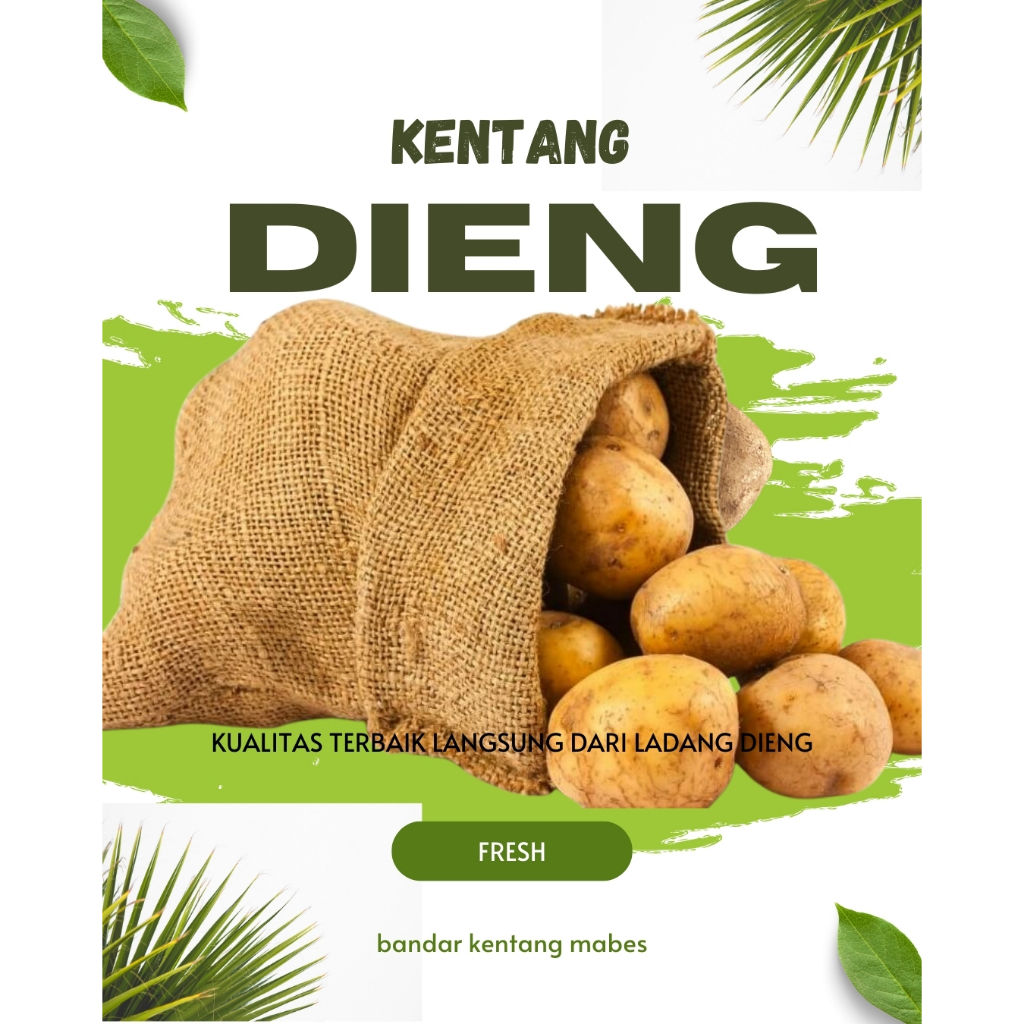 

( 5KG ) UKURAN BESAR KENTANG DIENG FRESH DAN PREMIUM