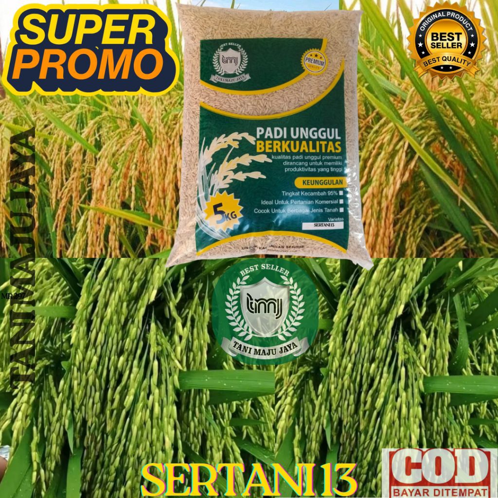 SUPER PROMO 10 KG BIBIT PADI BENIH PADI UNGGUL VARIETAS SERTANI 13 KEMASAN 5 KG
