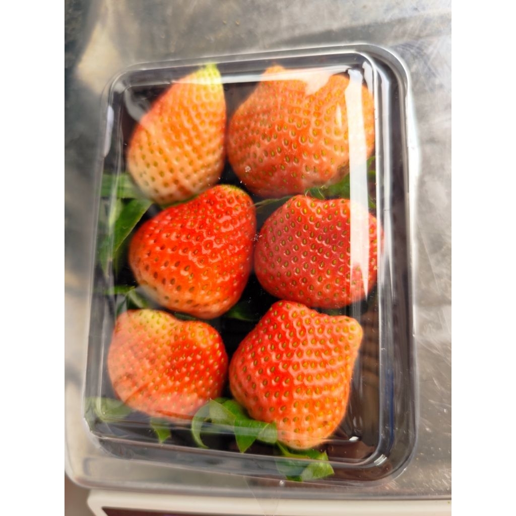 

strawberry jumbo fresh 1 kg untuk menambah vitamin c dalam tubuh