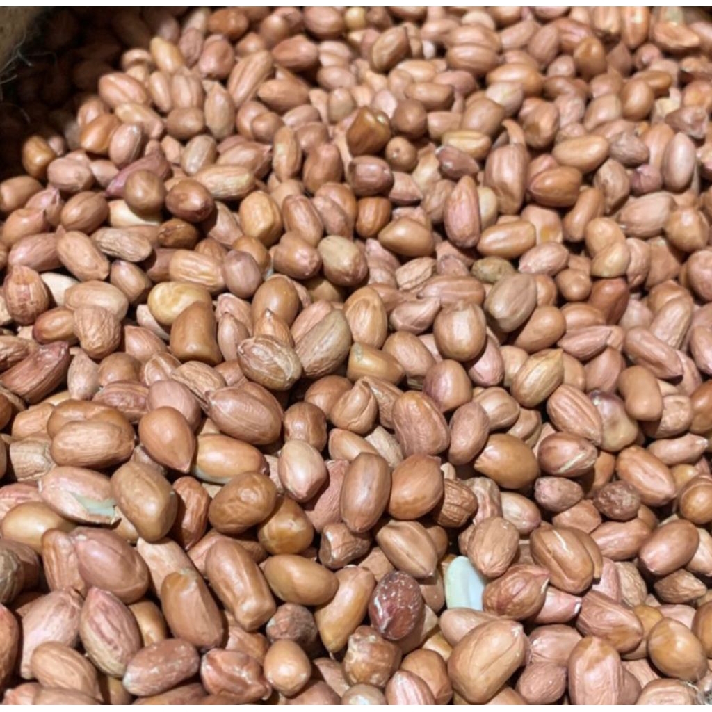 

Kacang Tanah 1000gram