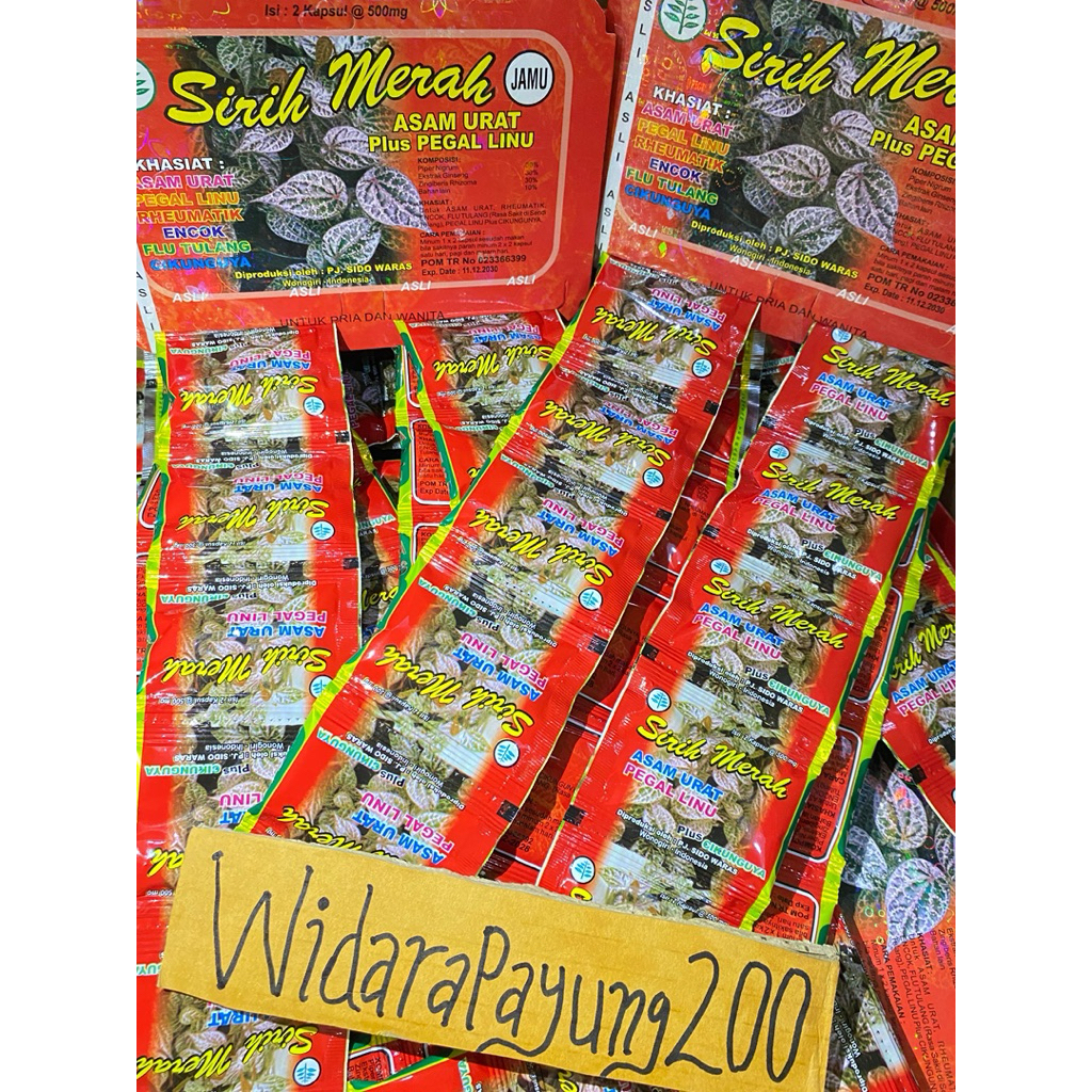 Sirih Merah original 100%