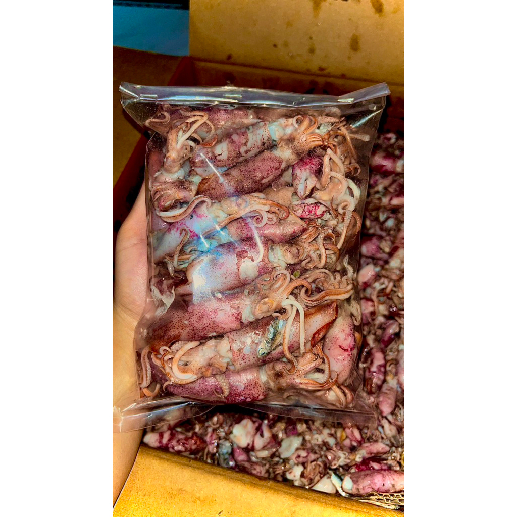 

Cumi asin Grosir Distributor Cumi Asin Termurah