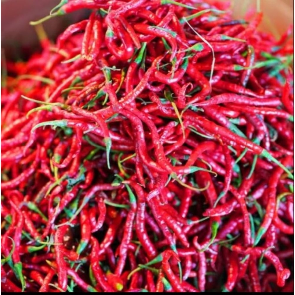 

CABE CABAI KERITING MERAH SUPER 1KG