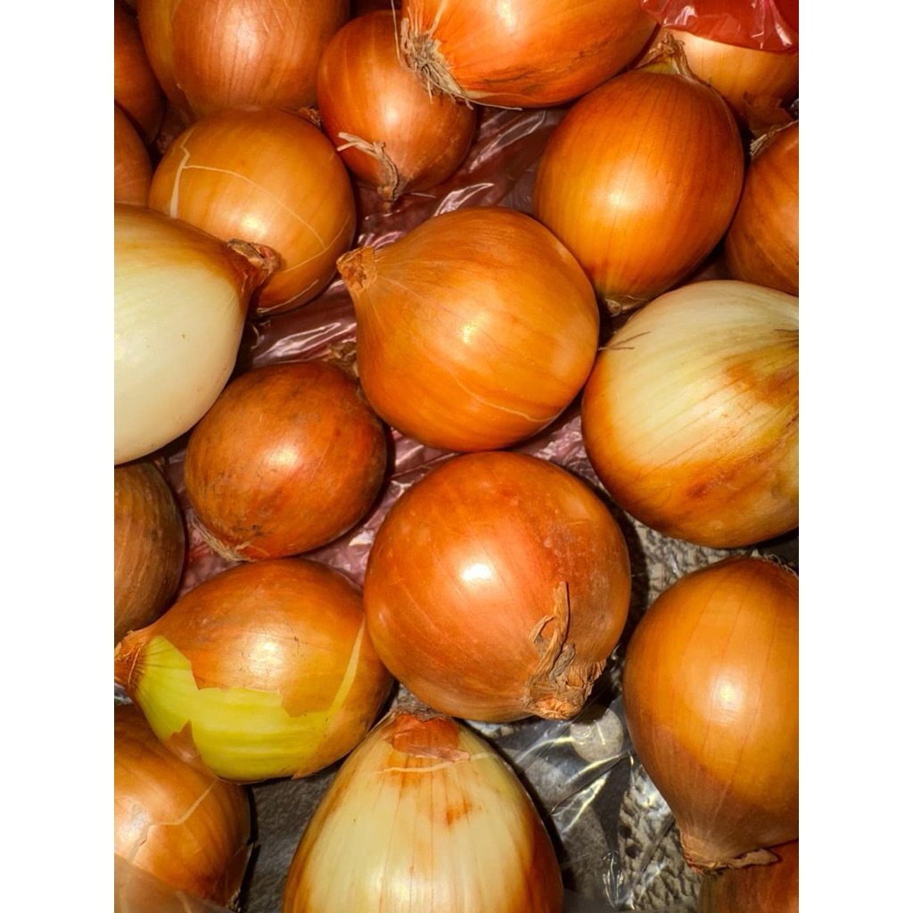 

Bawang Bombay Bulat Per Kg