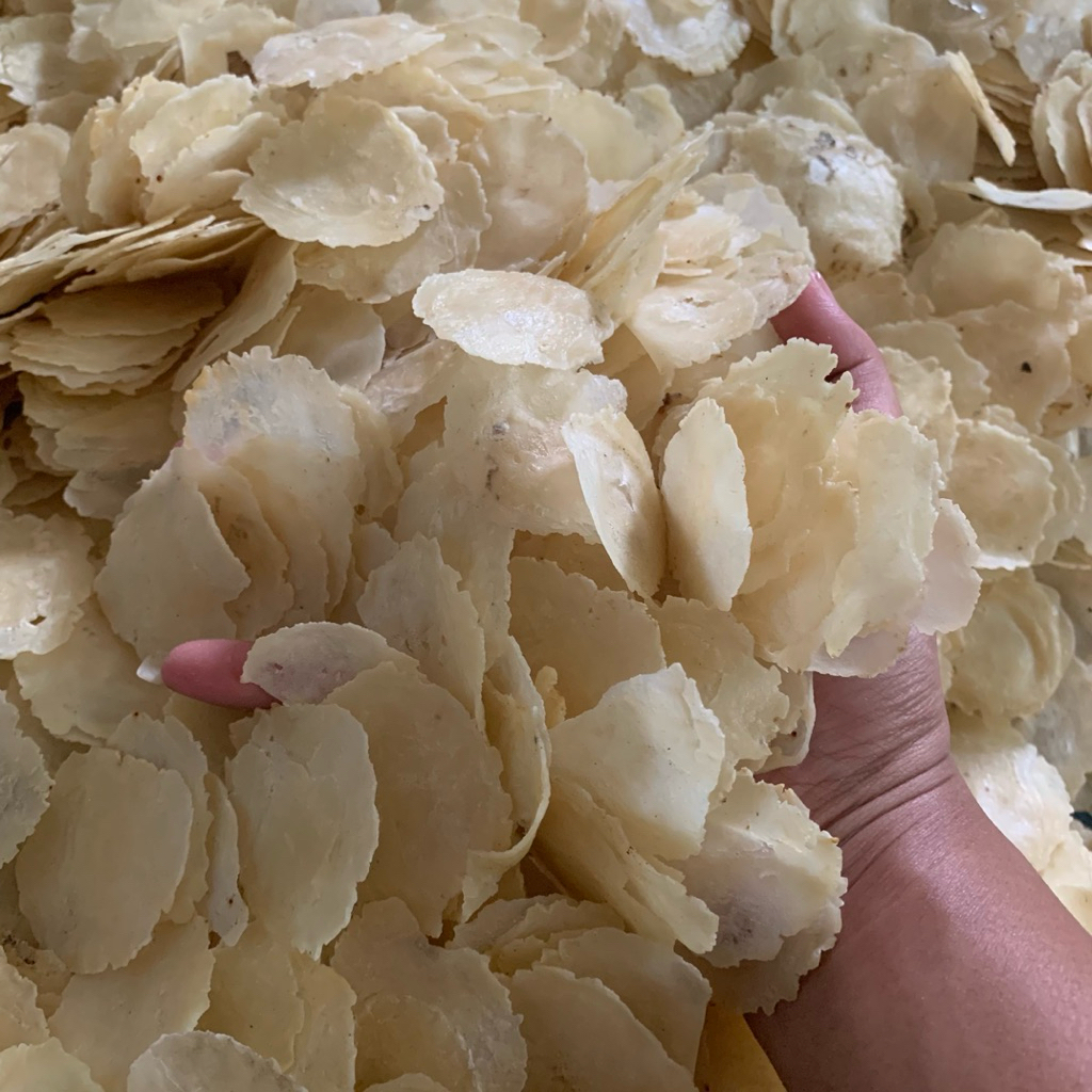 

Emping Melinjo Mentah Super Tipis Basah/Setengah kering/ 1KG