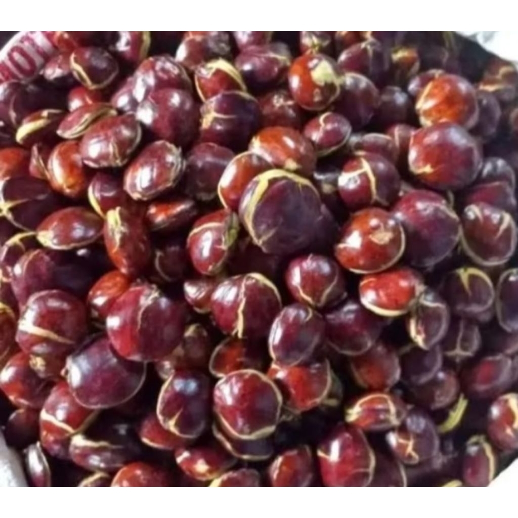 

JENGKOL SEPI TUA SUPER 1KG