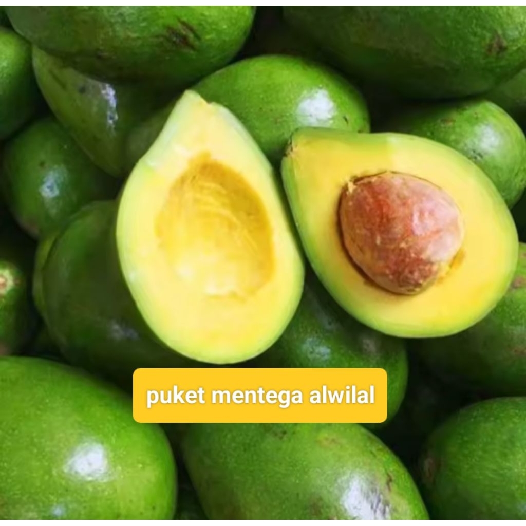 

alpuket mentega fresh 1kg isi 3.4.5