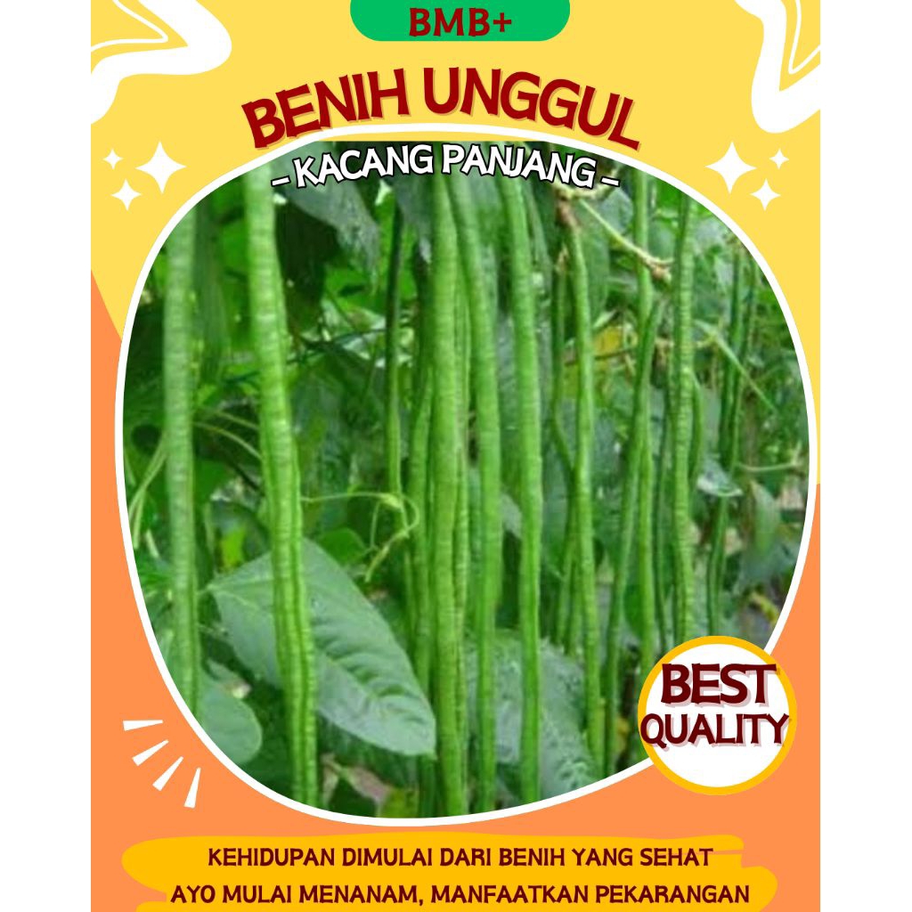 BMB+ Benih Kacang Panjang Kualitas Unggul / Bibit Kacang Panjang Hijau