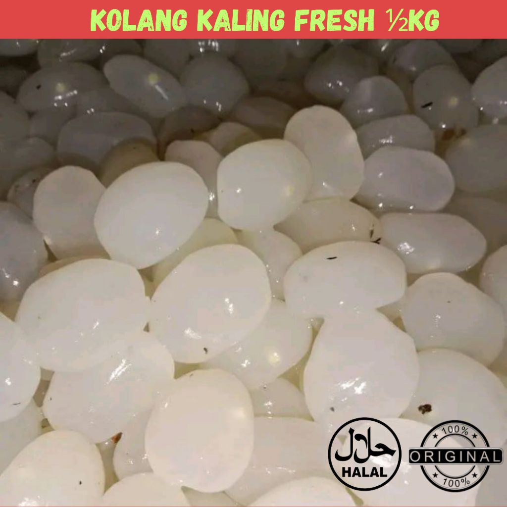 

Kolang Kaling Segar – Cangkaleng Mentah/Bersih Siap Olah – ½ Kg