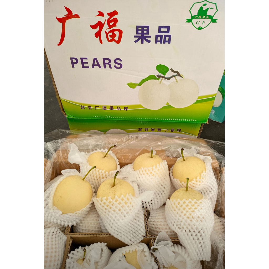 

PEAR CENTURY S60 IMPORT FRESH READY DUS DIKIRIM SESUAI STOCK