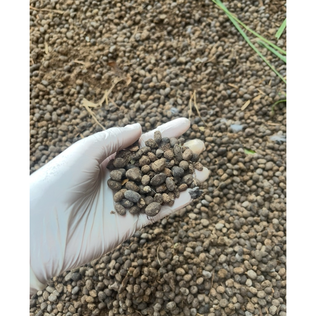 Pupuk Alami kambing/srintil murni kering- 1 karung