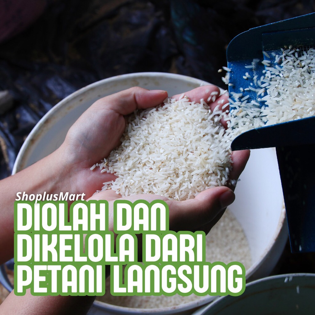 

Beras Lokal Berkualitas Kemasan 500 gram