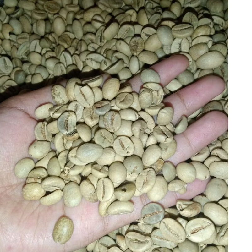 

Biji kopi Robusta poles/selep /WBB biji besar kemasan 1kg