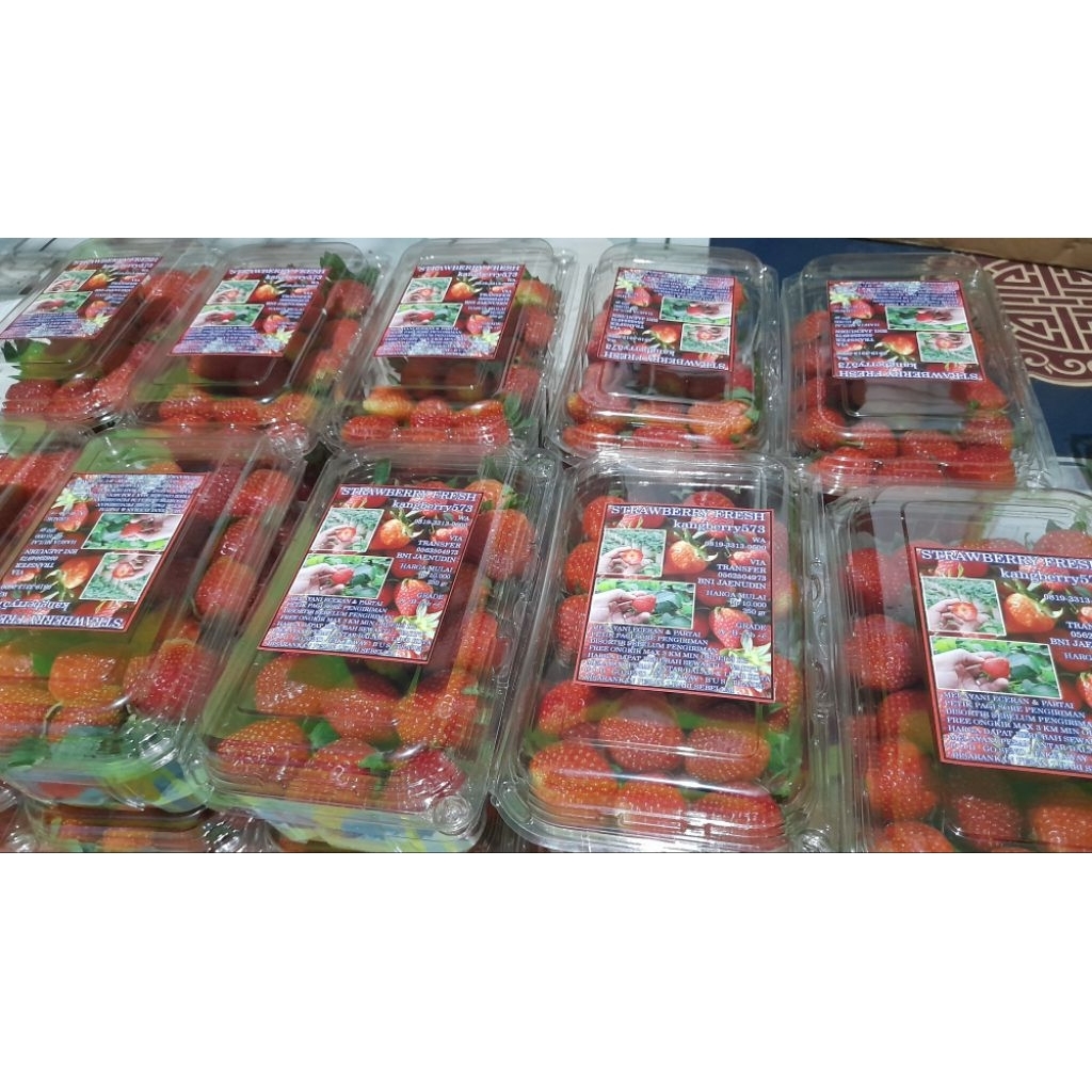 

STRAWBERRY FRESH 500 gr