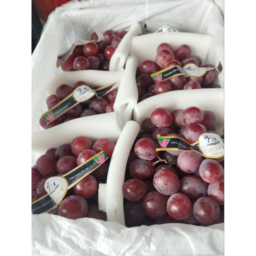 

Anggur Red Globe Califresh 1kg