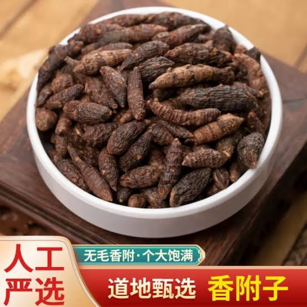 

100gr Herbal Xiang Fu 香附 Nutgrass Galingale / Purple Nutsedge / Cyperus Rotundus / Hamasuge / Nutgrass Rhizome / Cyperi Rhizoma Premium Grade