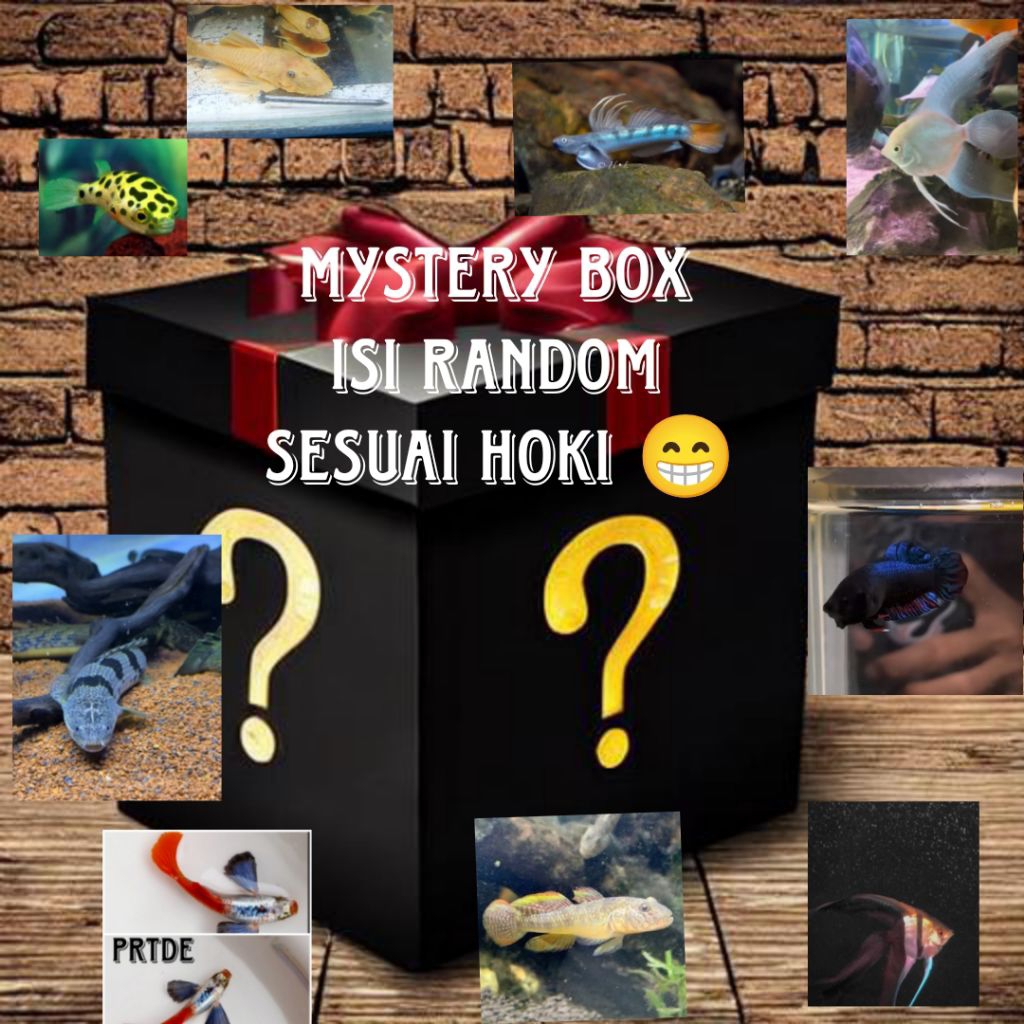 

ETALASE HOBBY MYSTERY BOX AJAIB MURAH