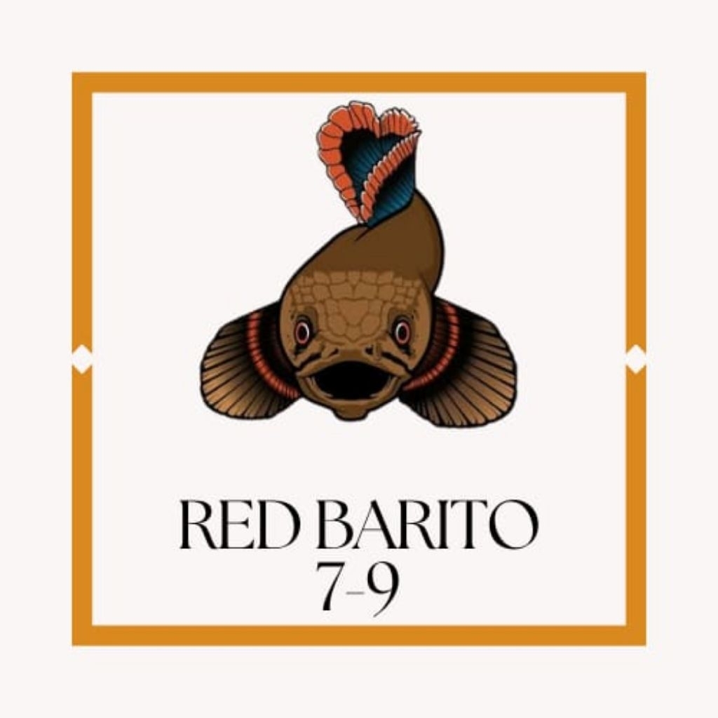 stiker red Barito 7-9 bar simet full pelet