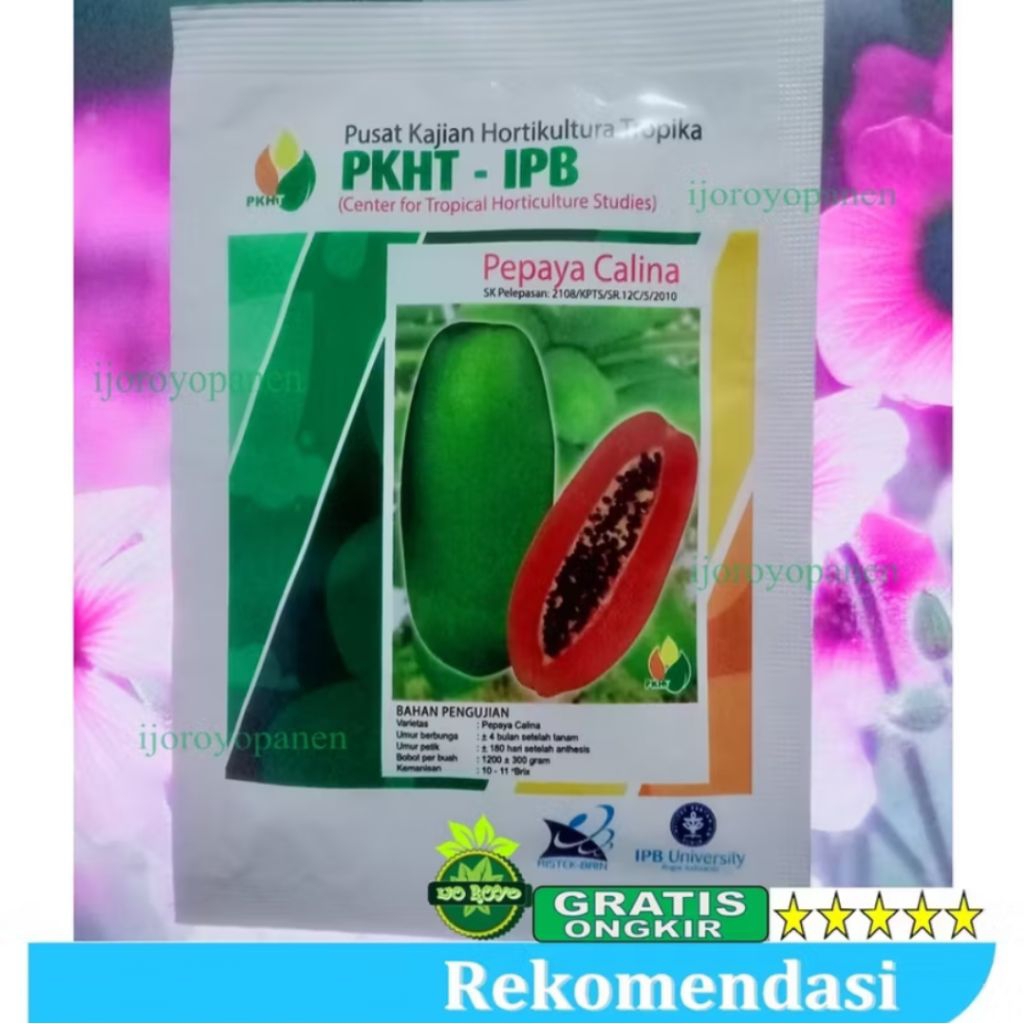 benih pepaya calina California pkht ipb isi 250 ori