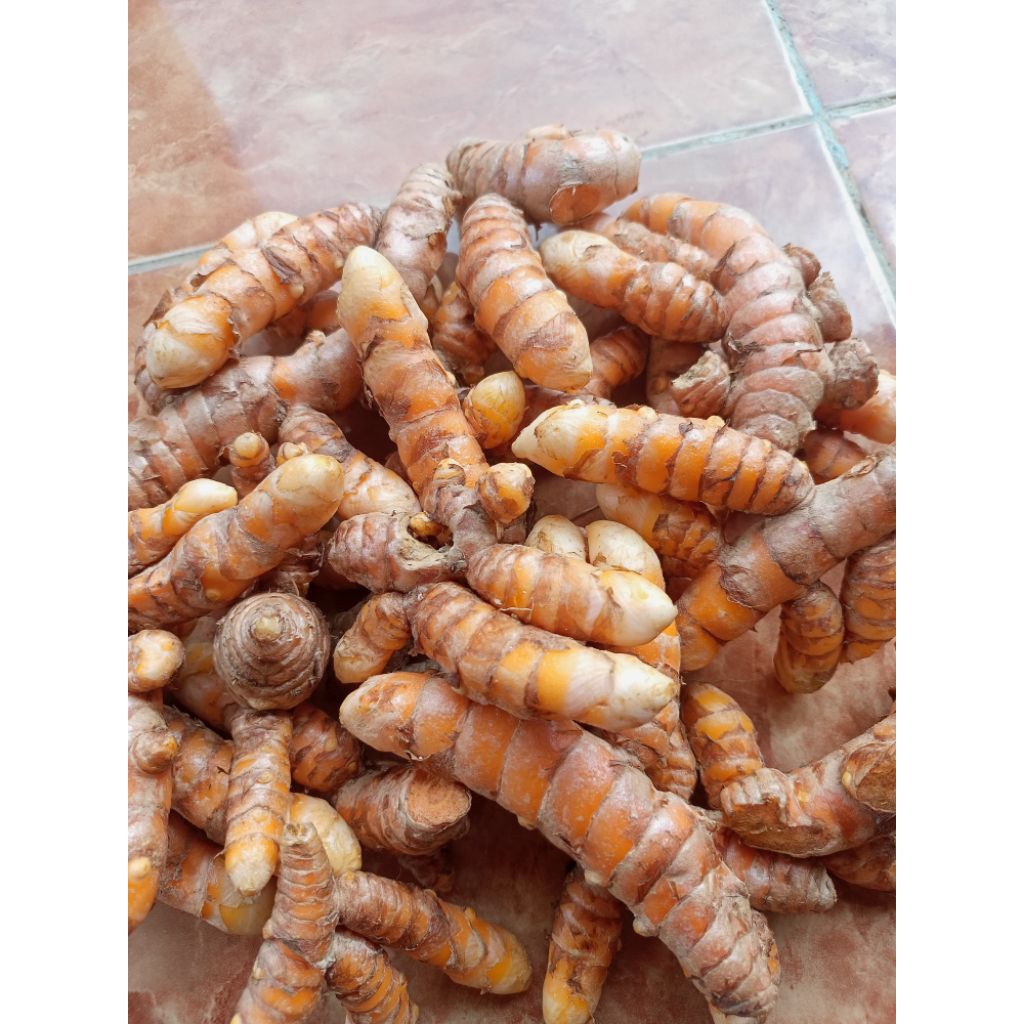 

KUNYIT PANEN SENDIRI 1 KG