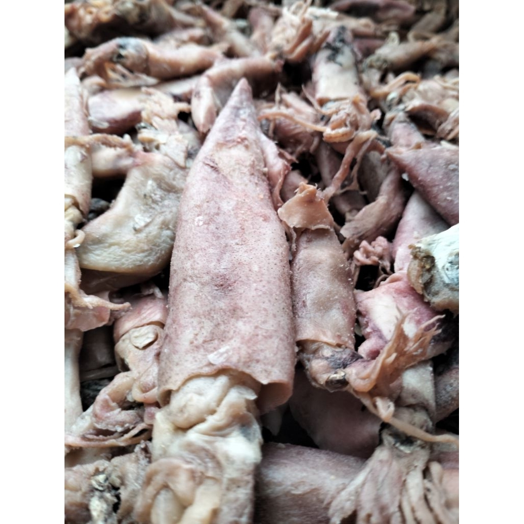 

Cumi Sotong kering 1 kg Termurah ikan asin cumi pen.