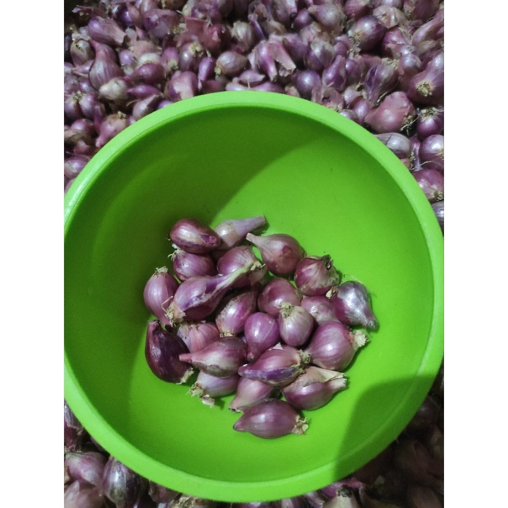 

Bawang Merah Lokal Size Kecil/ulekan/Lembutan kemasan 500gr