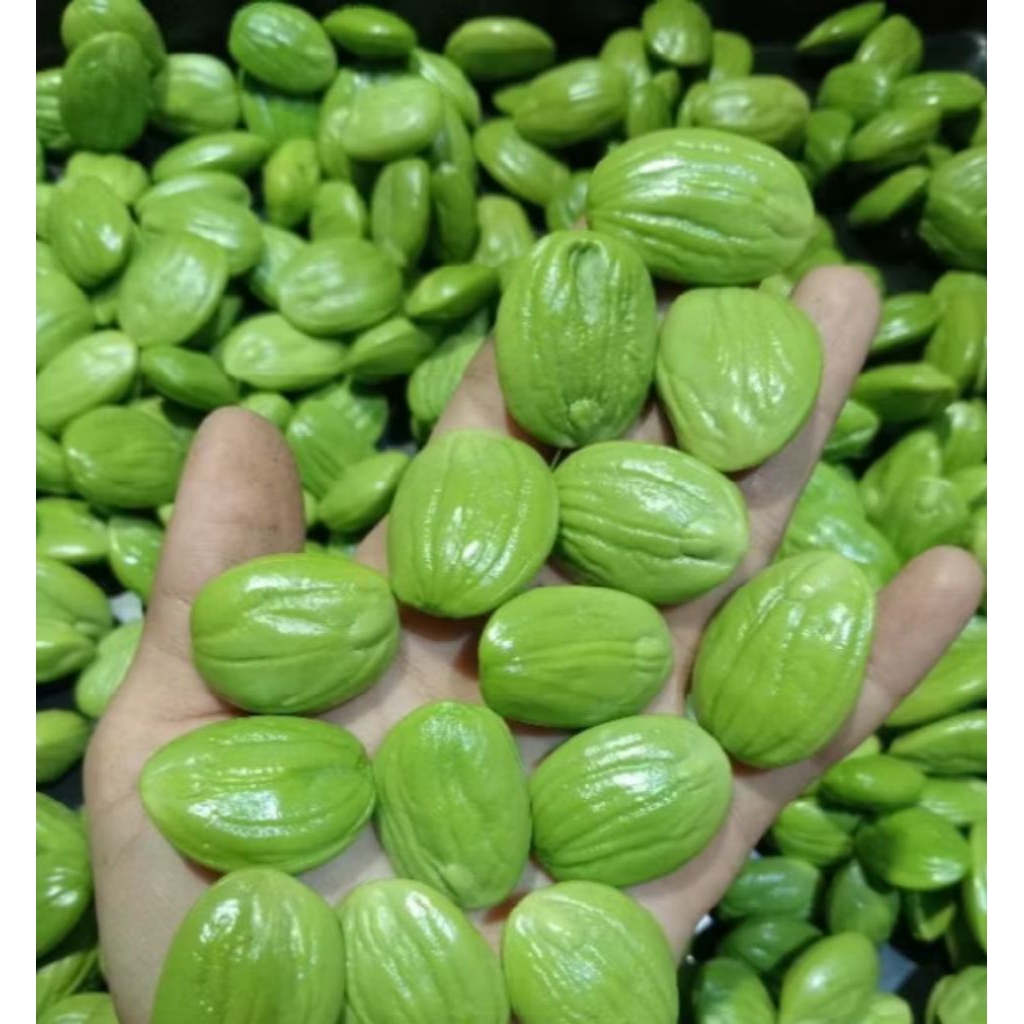 PETE KUPAS PREMIUM SUPER TUA