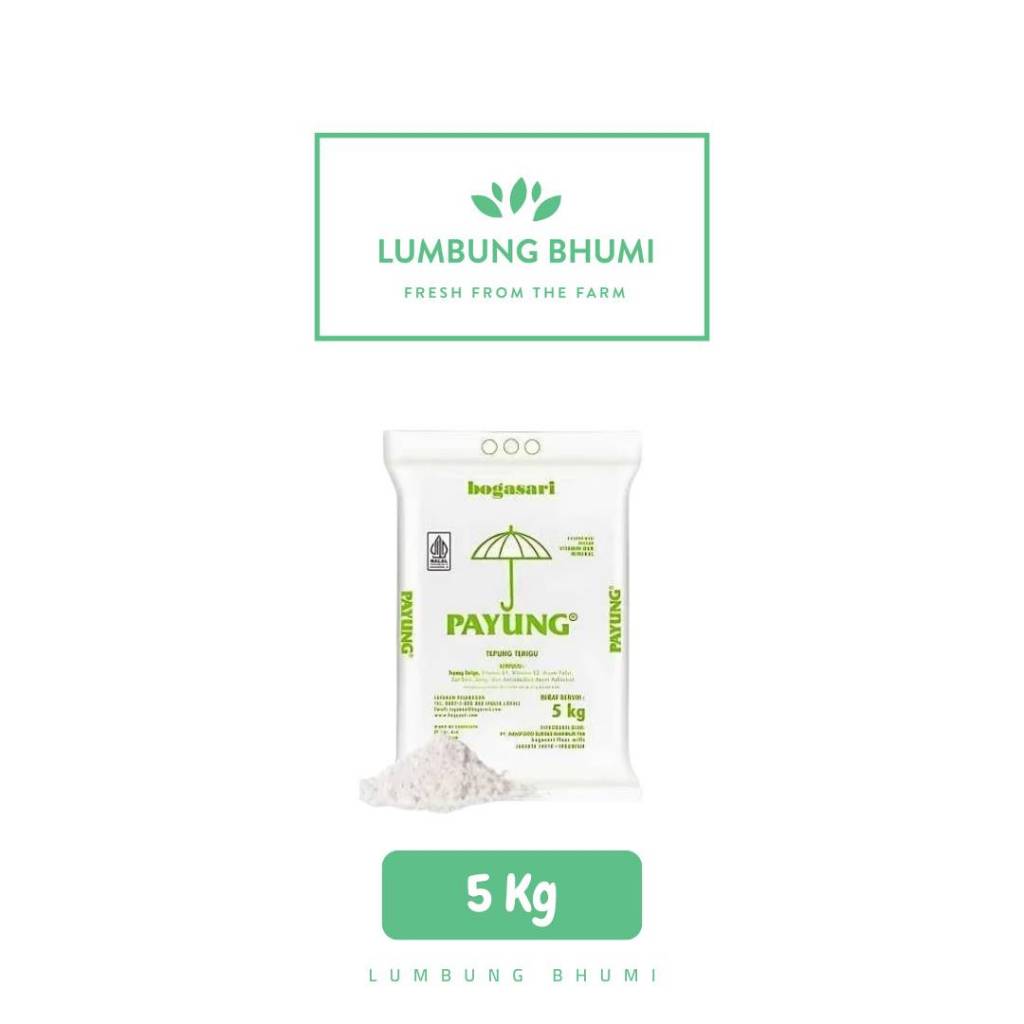 

PAYUNG Tepung Terigu 5 Kg 1 Pcs - Lumbung Bhumi