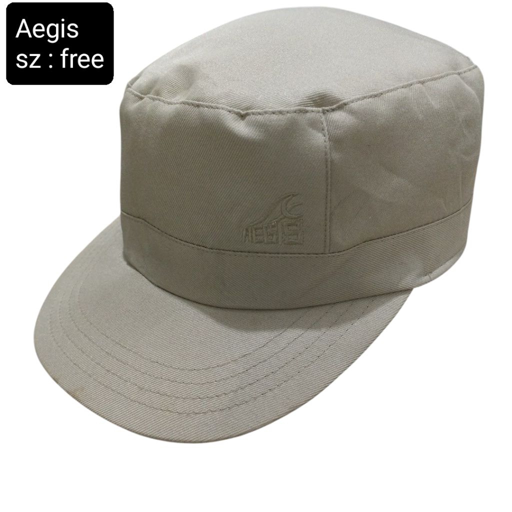 Topi aegis