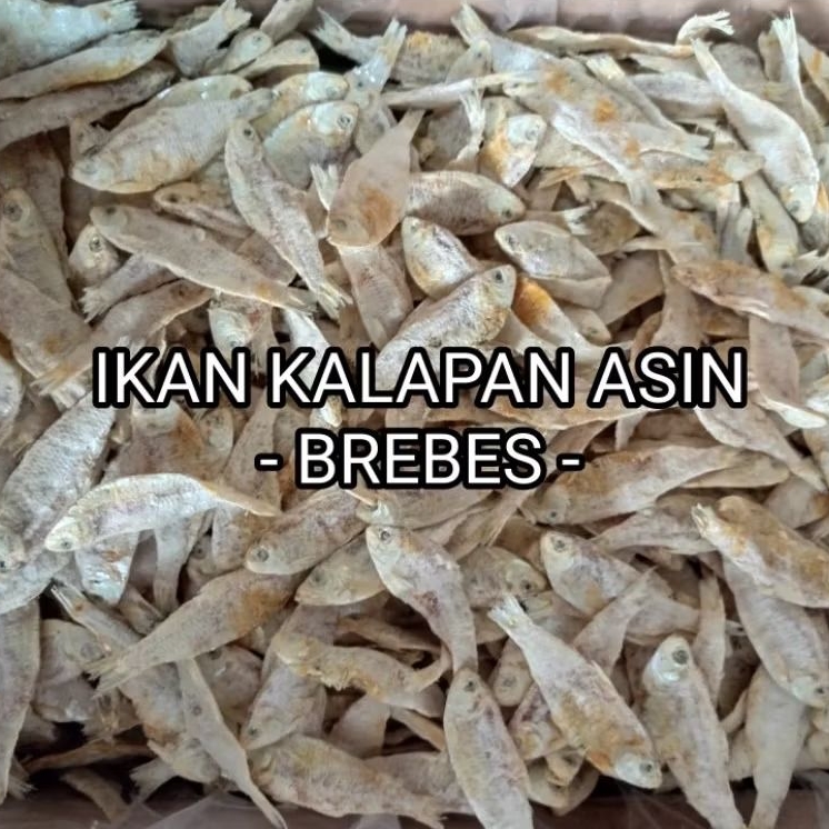 

IKAN KLAPAN/IKAN SRINDING ASIN KERING 100 GRAM (1 ONS)