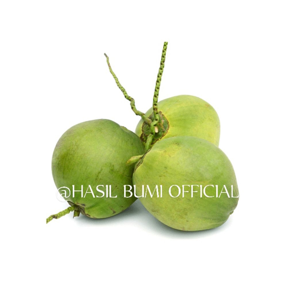 

KELAPA MUDA IJO FRESS BARU PETIK