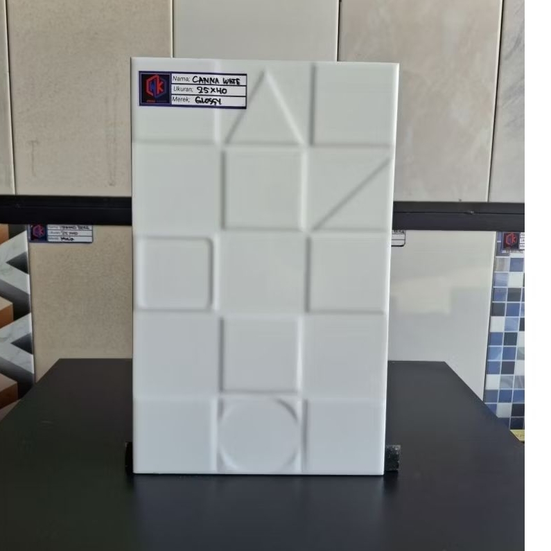 Keramik Dingding 25x40 Canna White