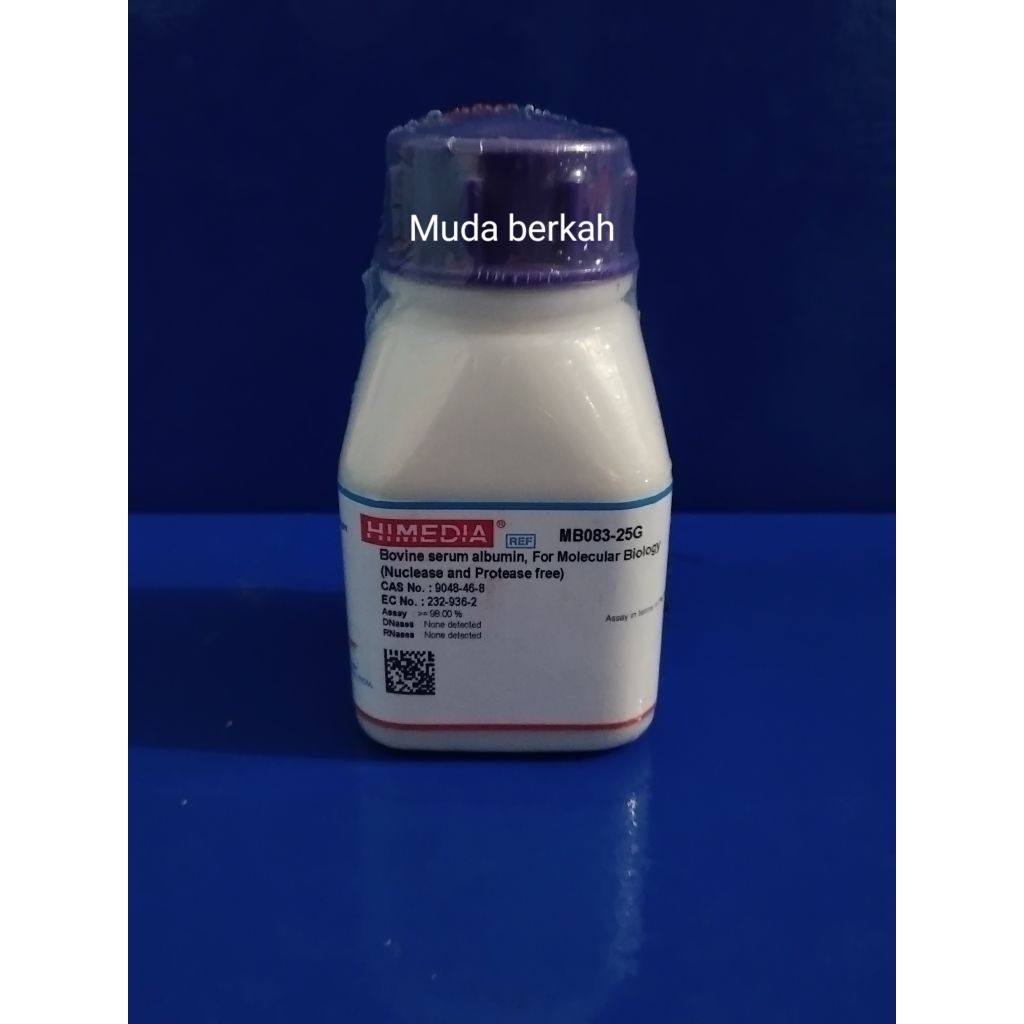 Serum albumin/BSA 100mg/Bovine serum albumin