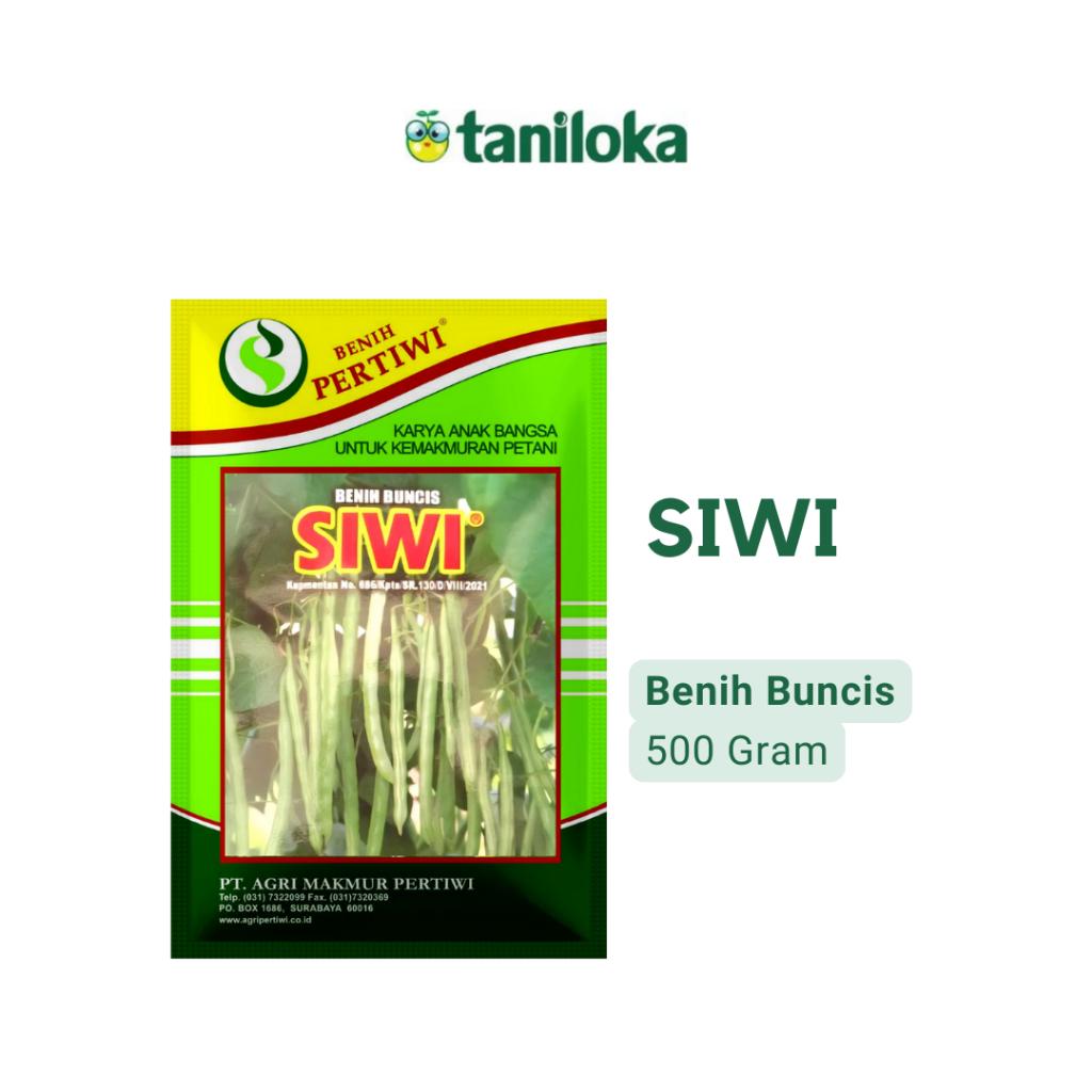 Benih Pertiwi - Benih Buncis Siwi (500 Gram)