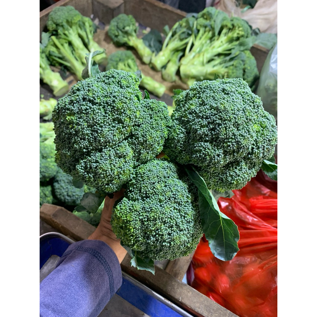 

Brokoli Hijau Lokal - 500gram