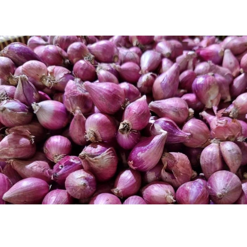 

Bawang Merah Murah 10 kg / Pengiriman Kilat Surabaya