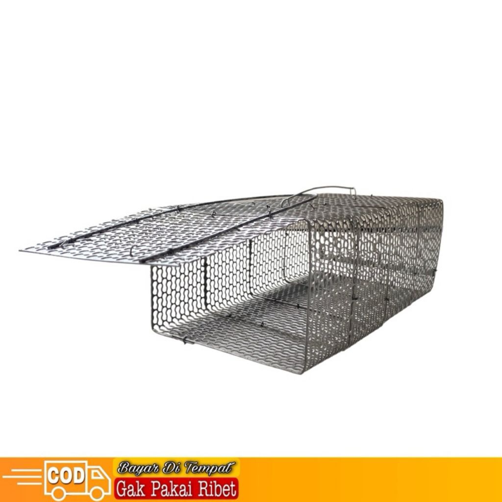 jebakan tikus paling ampuh otomatis