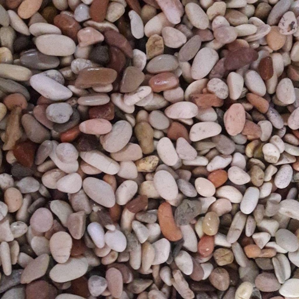 Batu koral sikat pancawarna harga perkarung