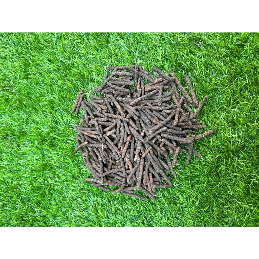 

Cabai Jamu Jawa Fresh – Hasil Budidaya Sendiri