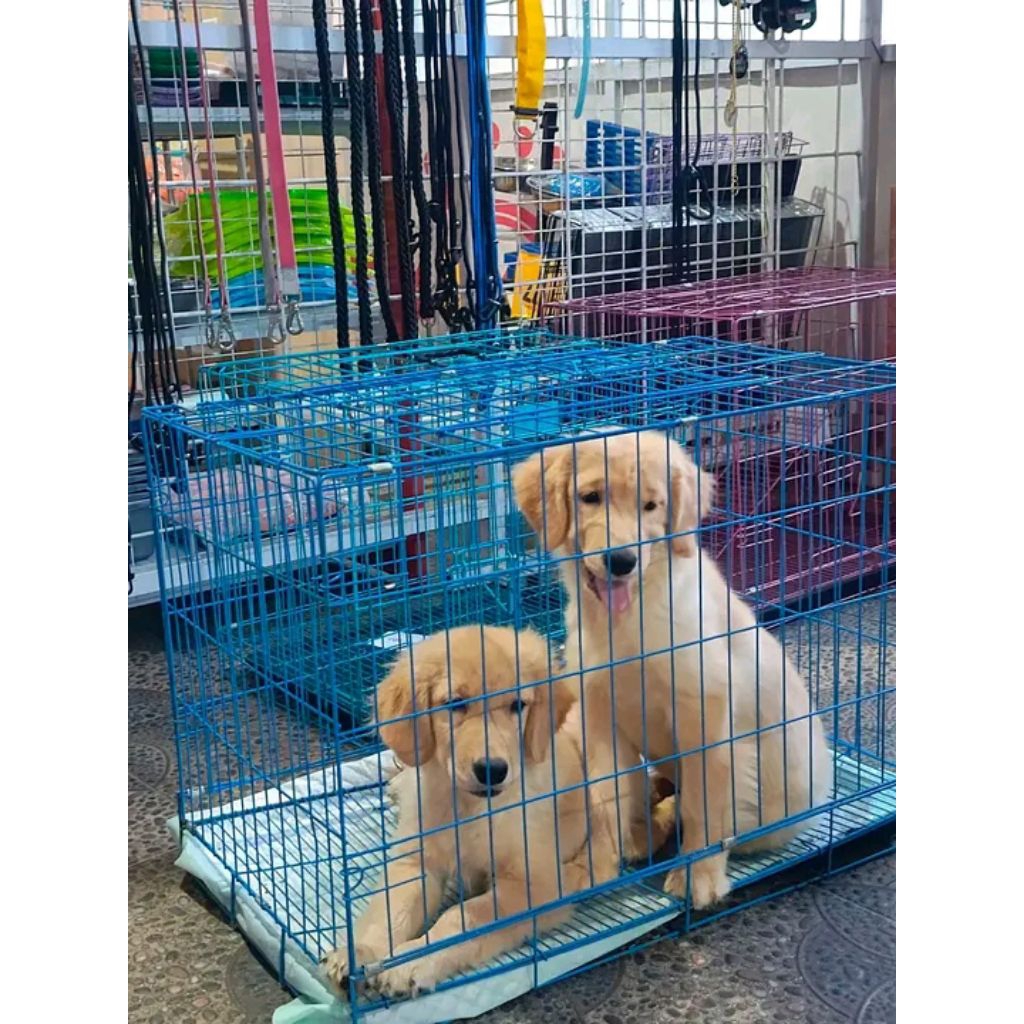 KANDANG ANJING / KANDANG KUCING LIPAT JUMBO TERLARIS