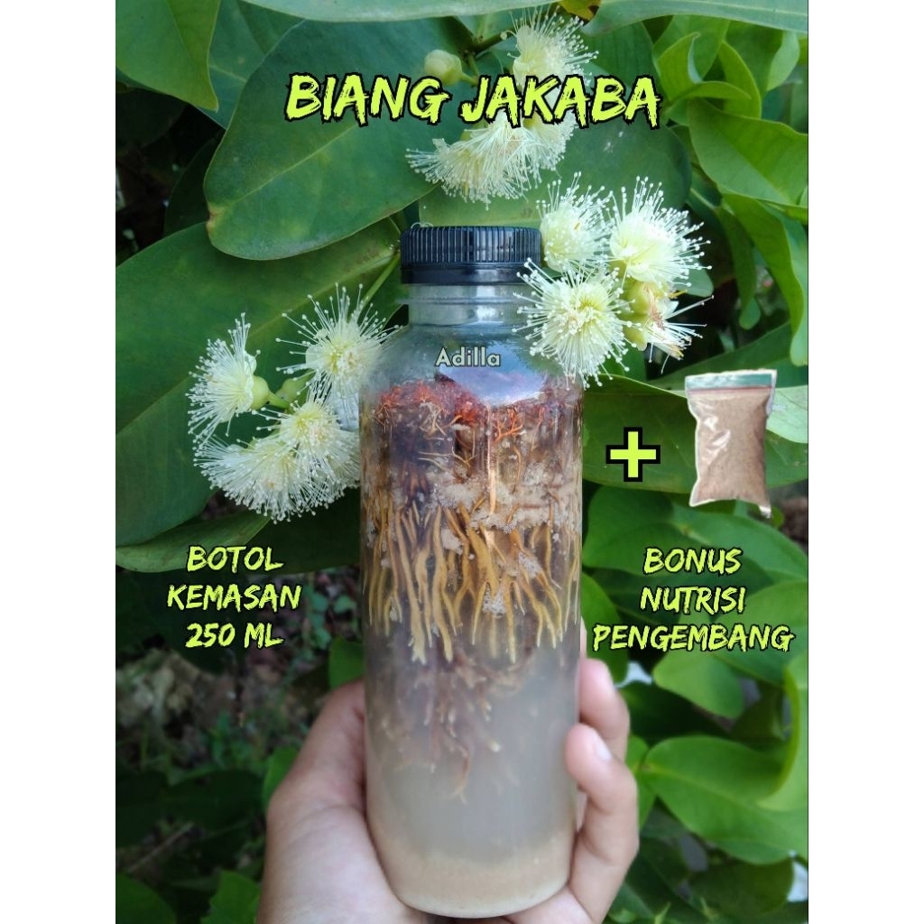 Spora Bibit Biang Jamur Jakaba Botol 250ml