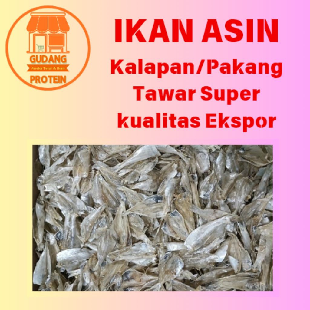 

ikan asin kalapan / pakang tawar super terbaik kualitas ekspor