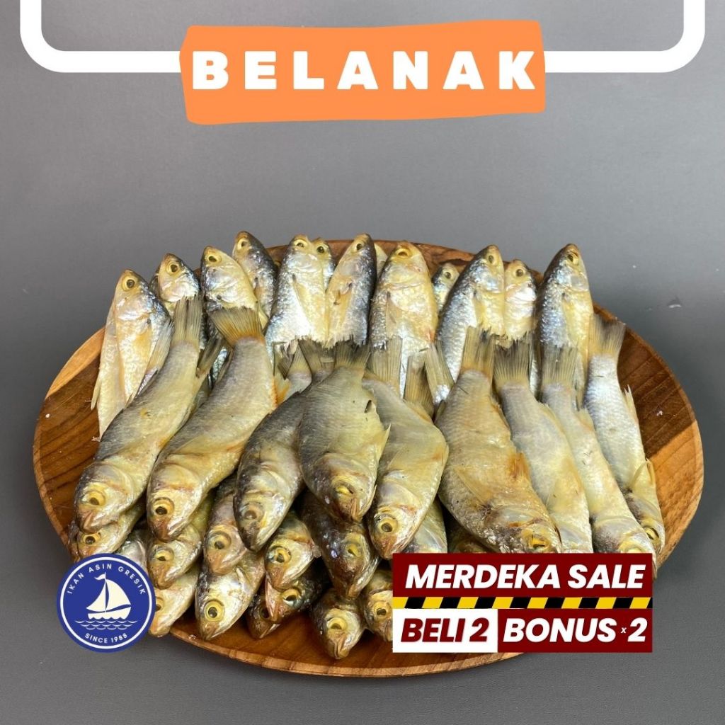 

Ikan Asin Gresik Belanak Gerih Asin Kemasan 500gram