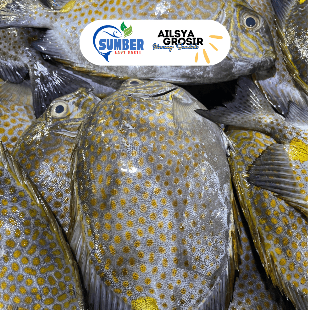 

IKAN BARONANG SEGAR BERSIH FRESH 1 KG