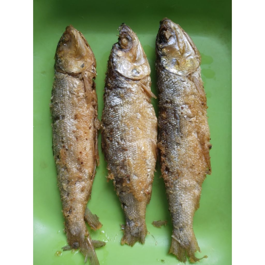 

bandeng presto mini goreng khas Tegal isi 3 ekor